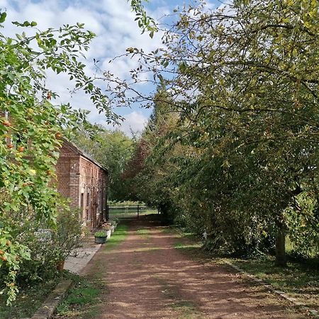 Les Rues-des-Vignes La Chaumiere Du Tordoir B&B 외부 사진