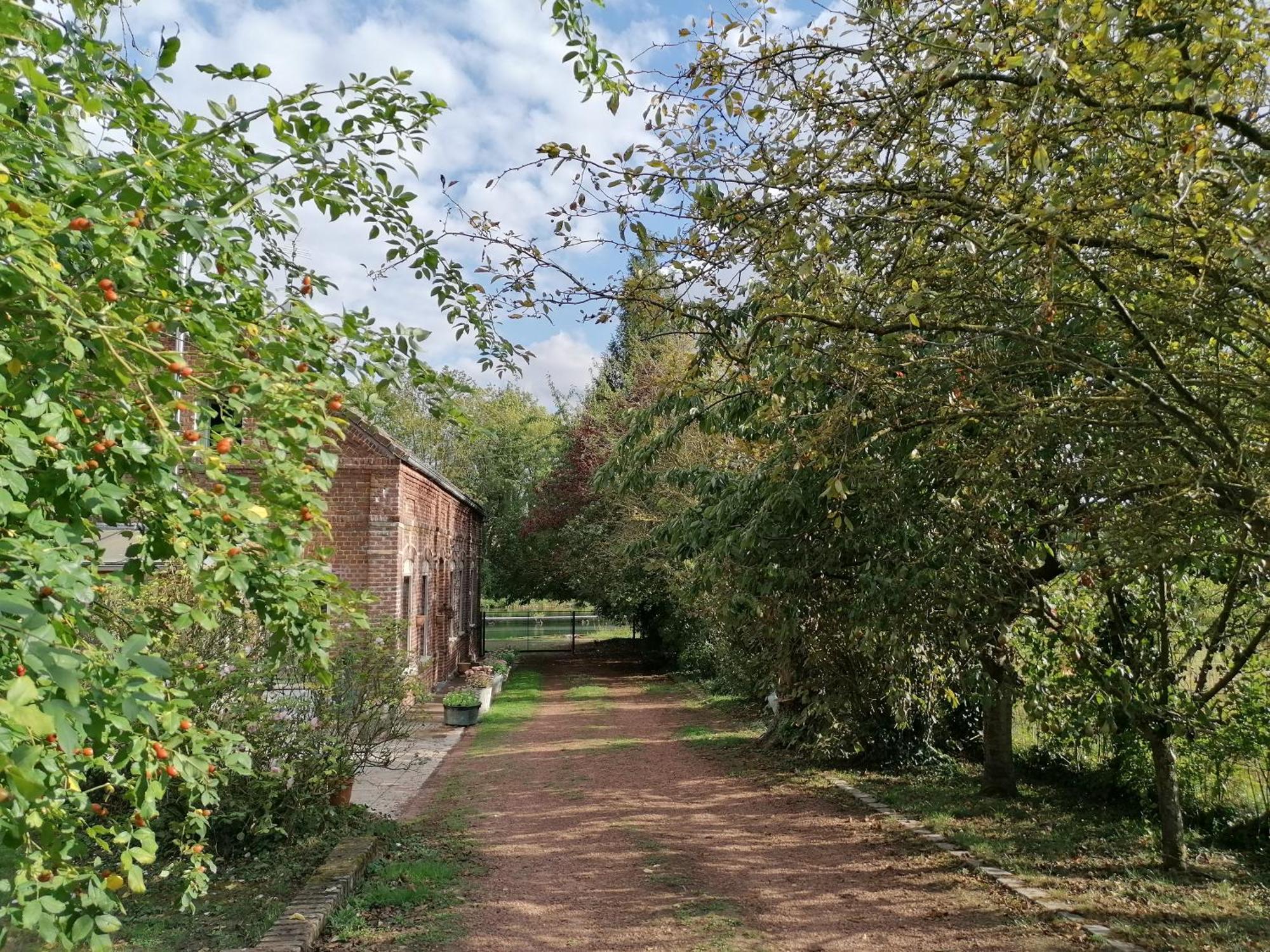 Les Rues-des-Vignes La Chaumiere Du Tordoir B&B 외부 사진
